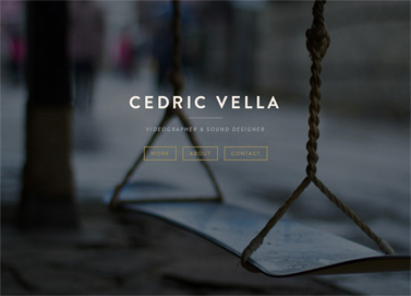portfolio